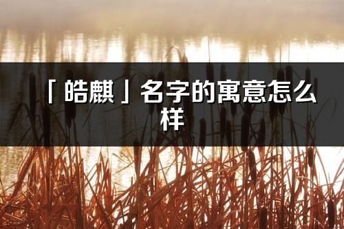 「皓麒」名字的寓意怎么樣_皓麒的出處