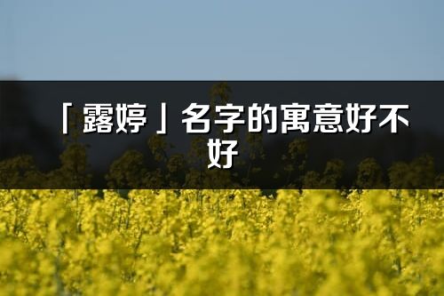 「露婷」名字的寓意好不好_露婷含義分析