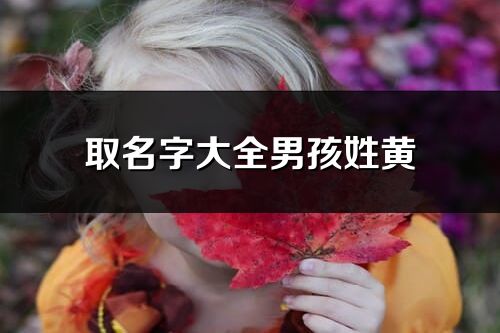 取名字大全男孩姓黃
