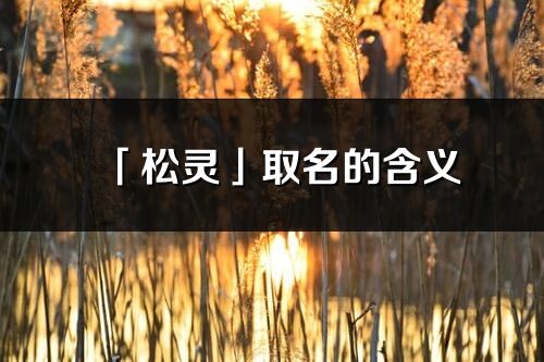 「松靈」取名的含義_松靈名字寓意