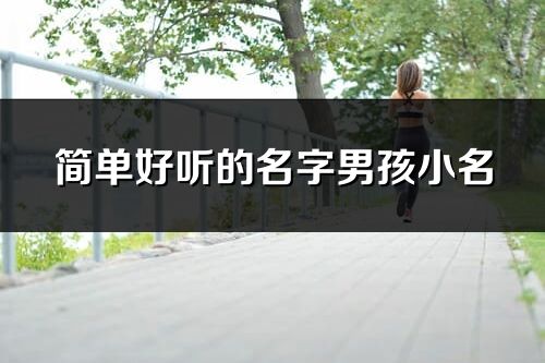 簡(jiǎn)單好聽(tīng)的名字男孩小名
