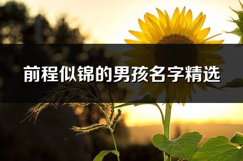 前程似錦的男孩名字精選