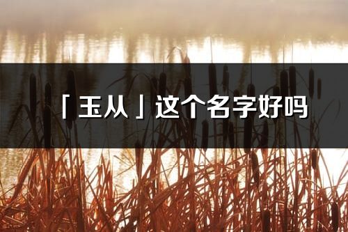 「玉從」這個名字好嗎_玉從名字寓意,含義