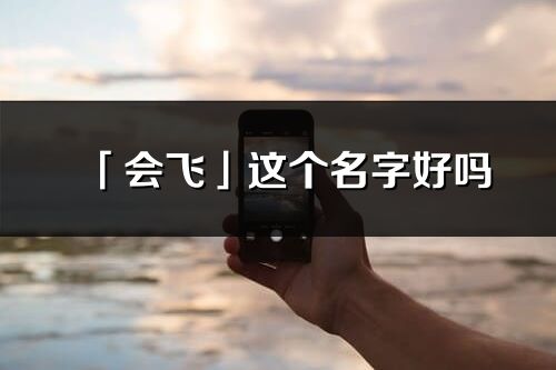 「會飛」這個名字好嗎_會飛名字寓意,含義