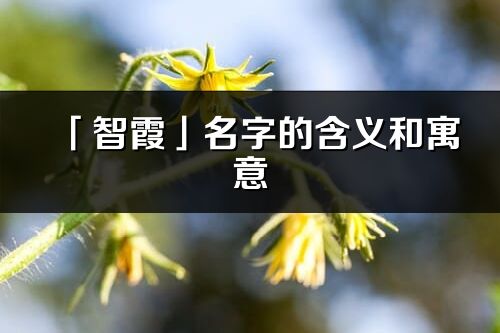 「智霞」名字的含義和寓意_智霞的出處與意思解釋