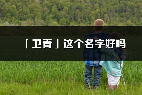 「衛青」這個名字好嗎_衛青名字寓意,含義