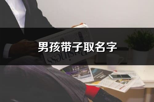 男孩帶子取名字
