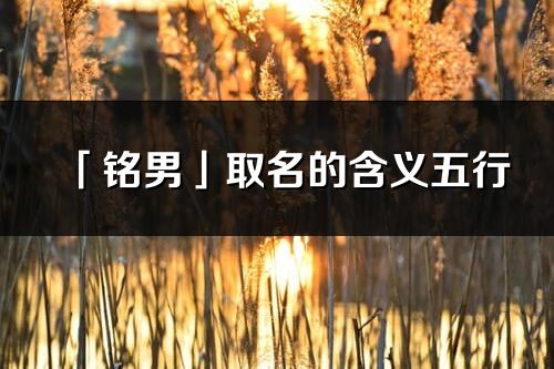 「銘男」取名的含義五行_銘男名字寓意解釋