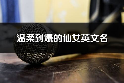 溫柔到爆的仙女英文名