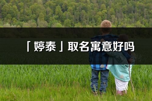 「婷泰」取名寓意好嗎_婷泰名字含義及五行