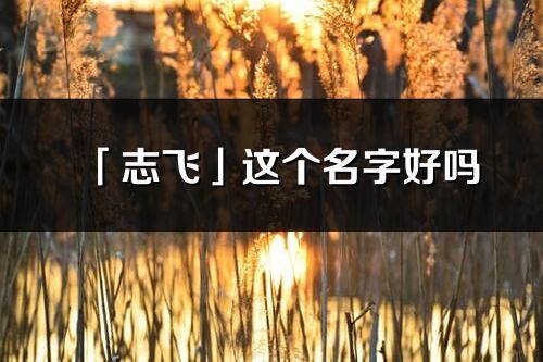 「志飛」這個名字好嗎_志飛名字寓意,含義
