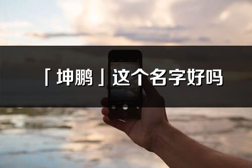「坤鵬」這個名字好嗎_坤鵬名字寓意,含義