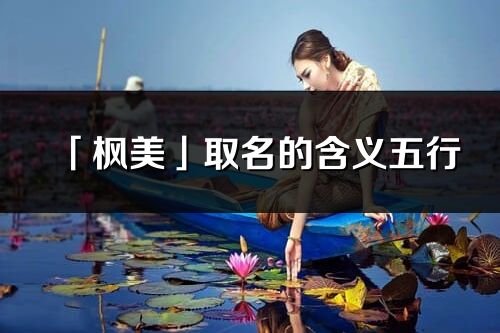 「楓美」取名的含義五行_楓美名字寓意解釋