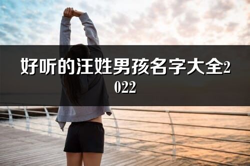 好聽的汪姓男孩名字大全2022