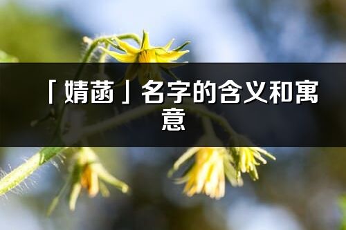 「婧菡」名字的含義和寓意_婧菡的出處與意思解釋