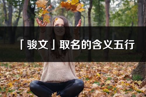 「駿文」取名的含義五行_駿文名字寓意解釋