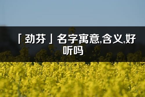 「勁芬」名字寓意,含義,好聽嗎_勁芬名字分析打分
