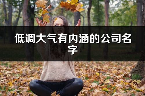 低調大氣有內涵的公司名字