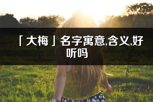 「大梅」名字寓意,含義,好聽嗎_大梅名字分析打分