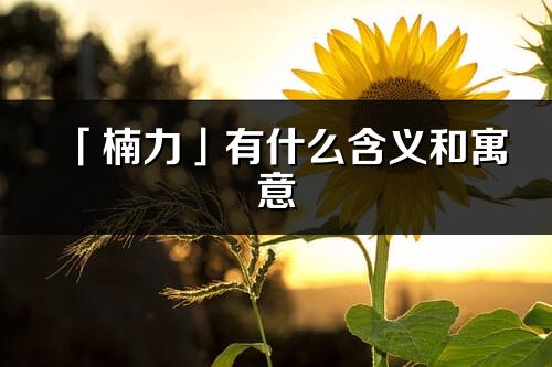 「楠力」有什么含義和寓意_楠力名字的出處與意思