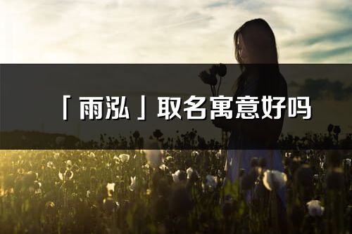 「雨泓」取名寓意好嗎_雨泓名字含義及寓意