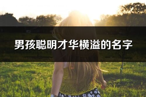 男孩聰明才華橫溢的名字