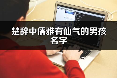 楚辭中儒雅有仙氣的男孩名字