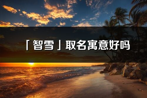 「智雪」取名寓意好嗎_智雪名字含義及寓意