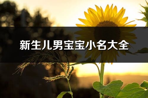 新生兒男寶寶小名大全
