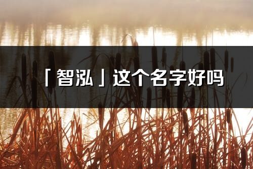 「智泓」這個名字好嗎_智泓名字寓意,含義