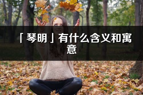 「琴明」有什么含義和寓意_琴明名字的出處與意思