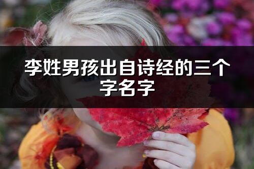 李姓男孩出自詩經(jīng)的三個字名字