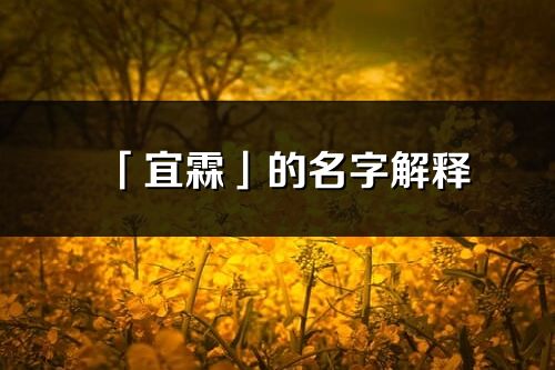 「宜霖」的名字解釋_宜霖含義分析
