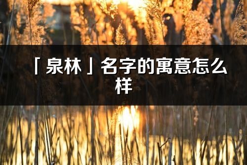 「泉林」名字的寓意怎么樣_泉林的出處