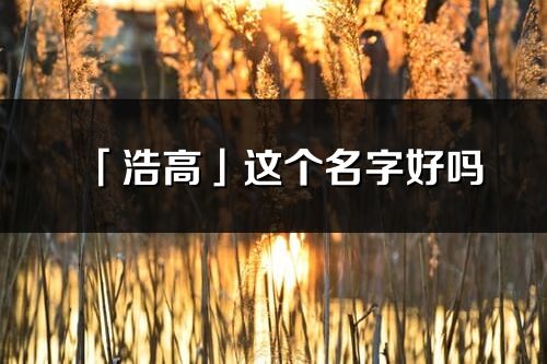 「浩高」這個名字好嗎_浩高名字寓意,含義
