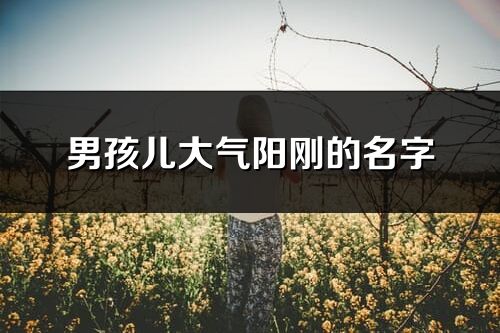 男孩兒大氣陽剛的名字