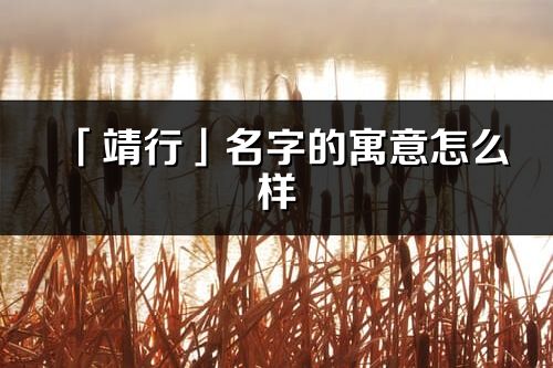 「靖行」名字的寓意怎么樣_靖行的出處