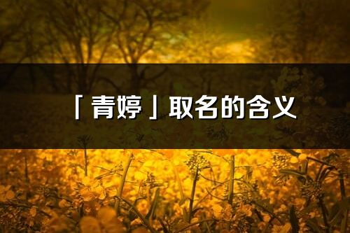 「青婷」取名的含義_青婷名字寓意解釋