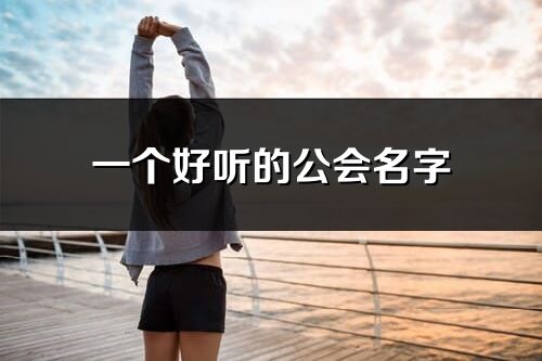 一個好聽的公會名字(251個)