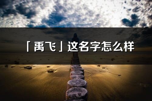 「禹飛」這名字怎么樣_禹飛的名字解釋