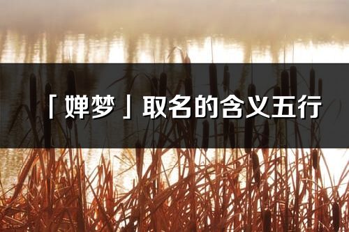 「嬋夢」取名的含義五行_嬋夢名字寓意解釋