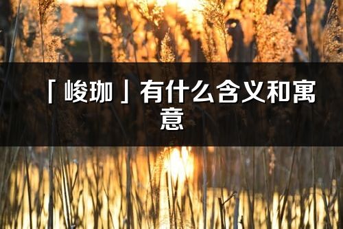 「峻珈」有什么含義和寓意_峻珈名字的出處與意思