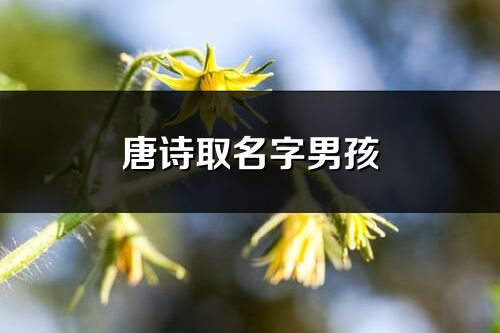 唐詩取名字男孩