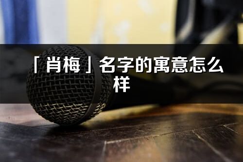 「肖梅」名字的寓意怎么樣_肖梅的出處