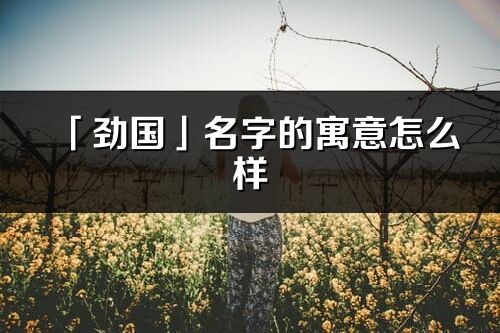 「勁國」名字的寓意怎么樣_勁國的出處