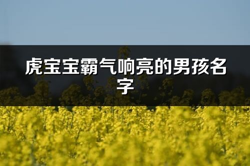 虎寶寶霸氣響亮的男孩名字