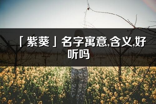「紫葵」名字寓意,含義,好聽嗎_紫葵名字分析打分