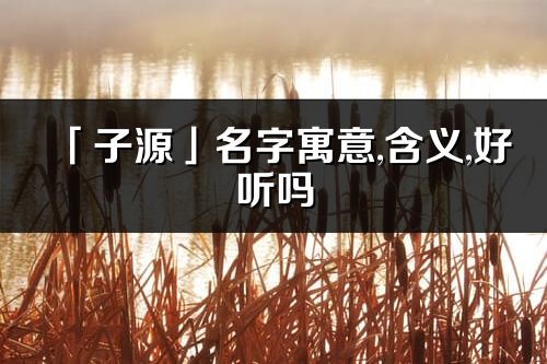 「子源」名字寓意,含義,好聽(tīng)嗎_子源名字分析打分