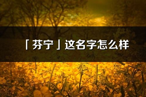 「芬寧」這名字怎么樣_芬寧的名字解釋
