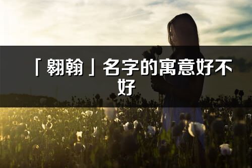 「翱翰」名字的寓意好不好_翱翰含義分析